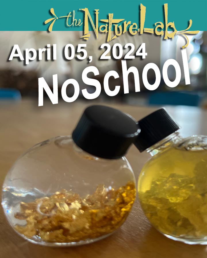 NoSchool?NatureLab!  04/05/24