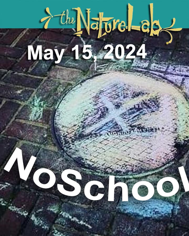 NoSchool?NatureLab!  05/14/24
