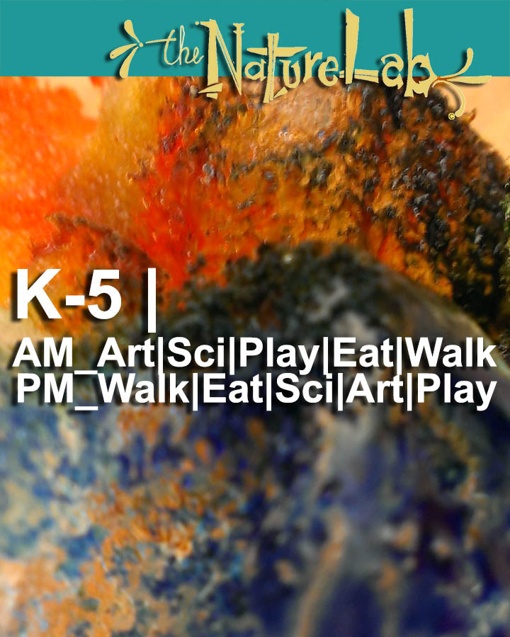 K to 5 -AM+PM Walk|Eat|Art|Sci|Play 2024/25