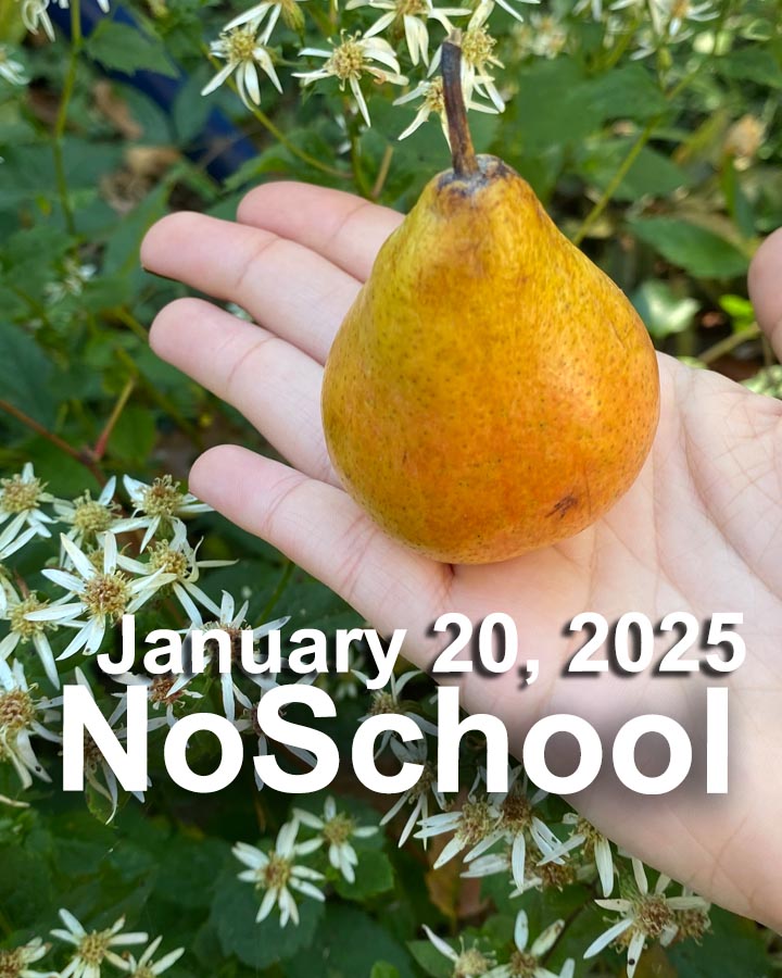 NoSchool?NatureLab!  01/20/2025