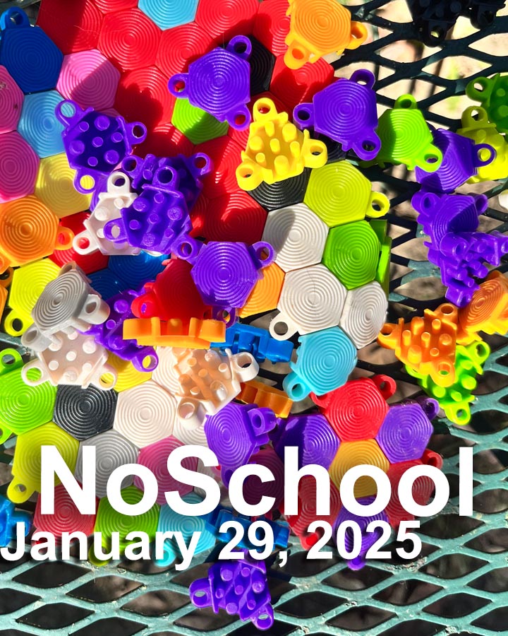 NoSchool?NatureLab!  01/29/2025