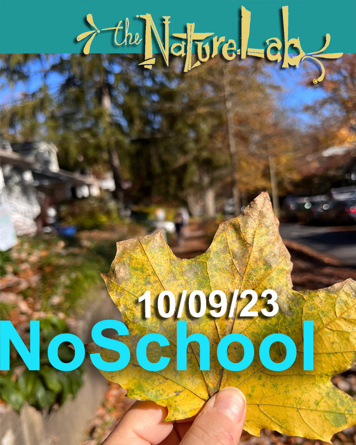 NoSchool?NatureLab!  10/09/23