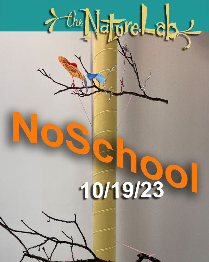 NoSchool?NatureLab!  10/19/23