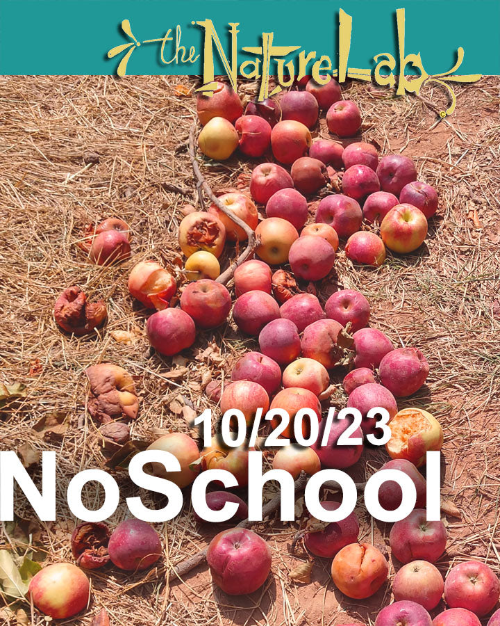 NoSchool?NatureLab!  10/20/23