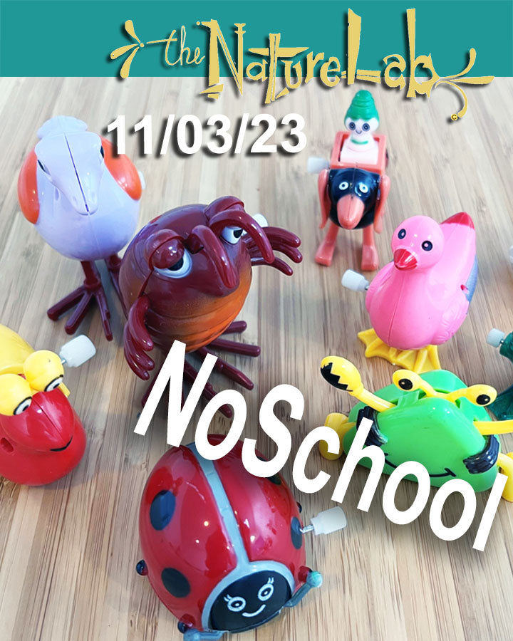 NoSchool?NatureLab!  11/03/23