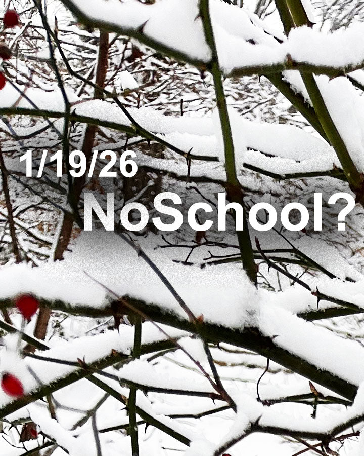 NoSchool?NatureLab!  1/19/26 Natural History (MLK Holiday, all local school systems)
