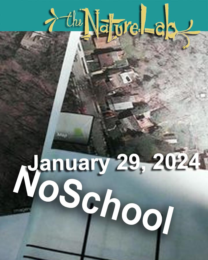 NoSchool?NatureLab!  01/29/24