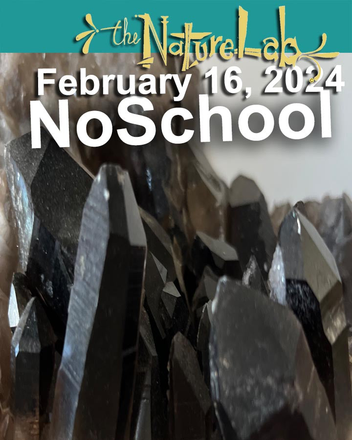 NoSchool?NatureLab!  02/16/24