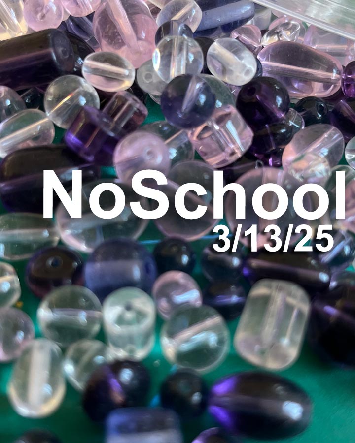 NoSchool?NatureLab!  3/13/25