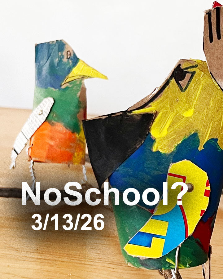 NoSchool?NatureLab!  3/13/26 Ornithology (DCPS)
