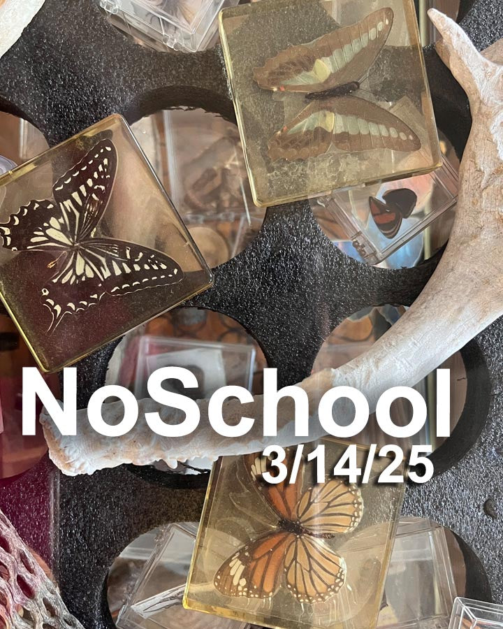 NoSchool?NatureLab!  3/14/25