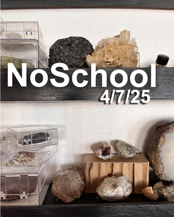 NoSchool?NatureLab!  4/7/25