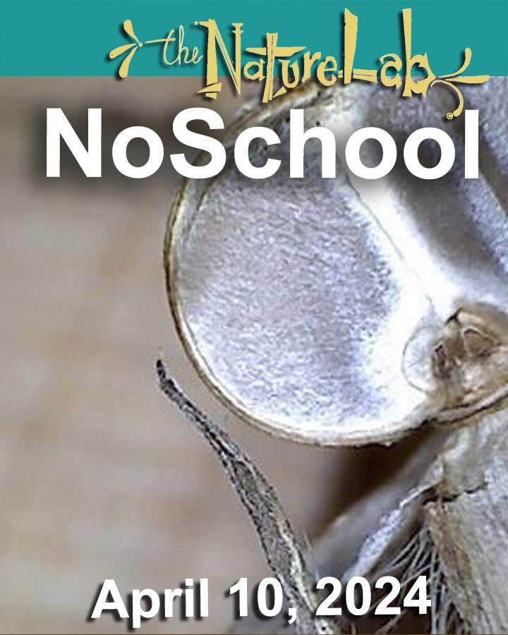 NoSchool?NatureLab!  04/10/24