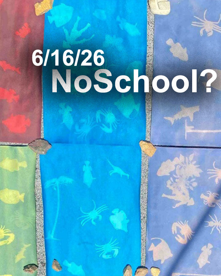 NoSchool?NatureLab!  6/16/26 Chemistry (DCPS)