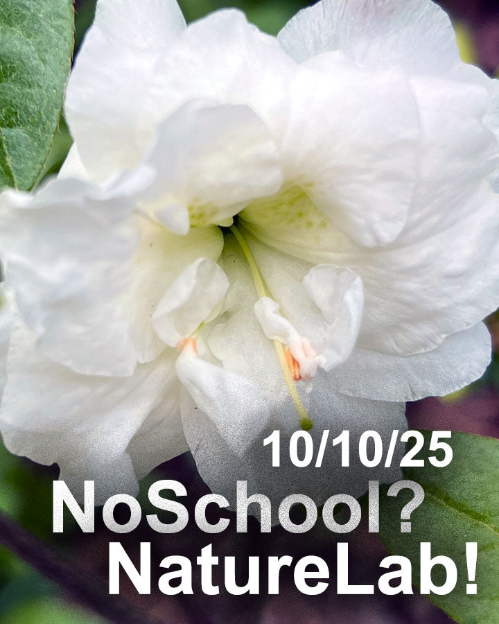 NoSchool?NatureLab!  10/10/2025 Horticulture (DCPS, BMPCS)