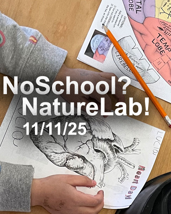 NoSchool?NatureLab!  11/11/2025 Medicine (DCPS, BMPCS, and PGCPS)