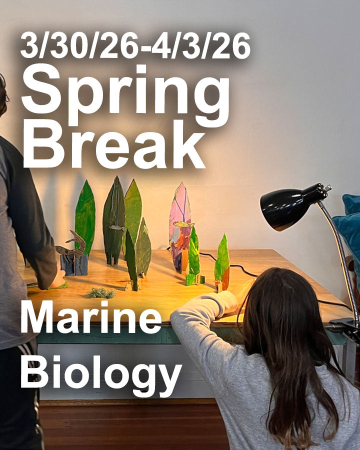 Marine Biology 3/30/26 -4/3/26 Spring Break