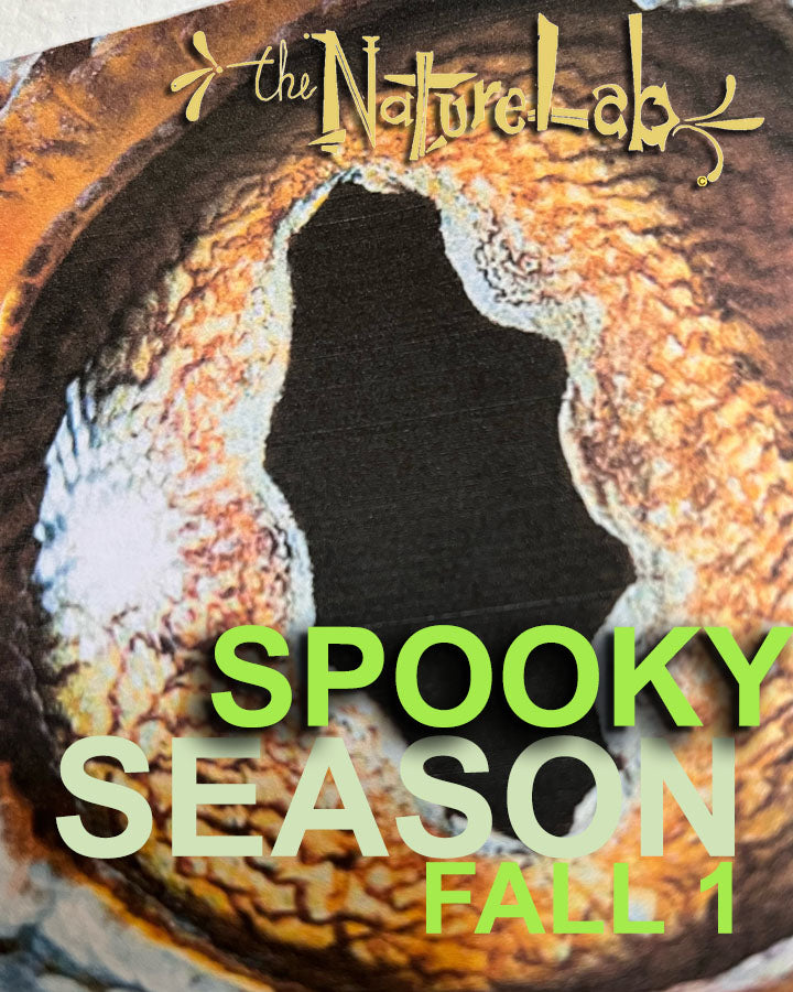 Spooky Season ages five to nine Fall Session 1