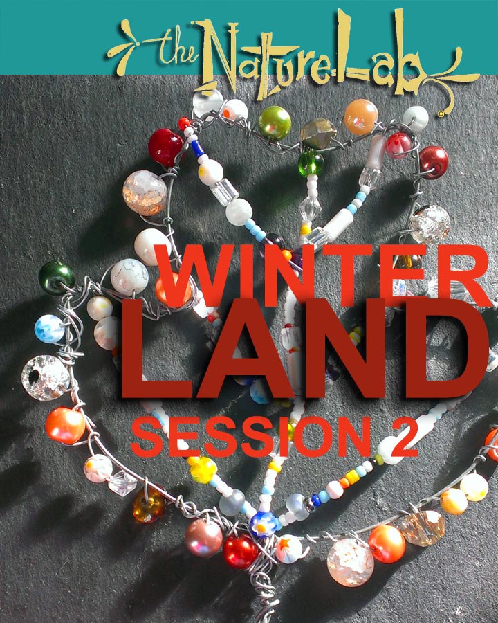 Winter Land (ages 5 to 9) Winter Session 2