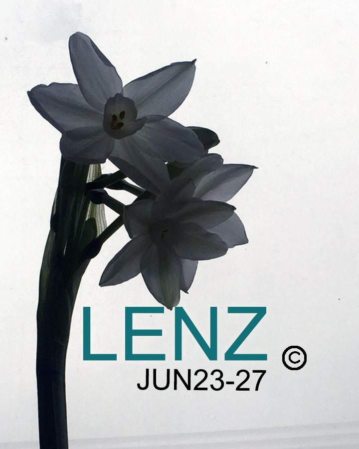 LENZ