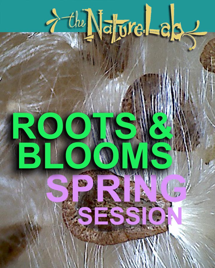 Spring Roots and Blooms (ages 5 to 9) Spring Session 1 – the NatureLab