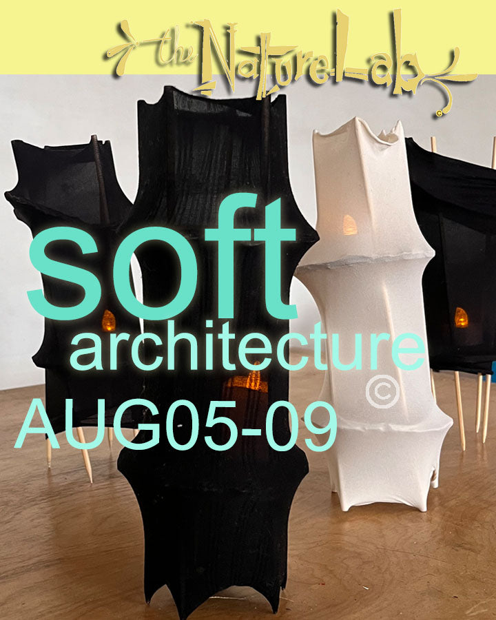 SoftArchitecture