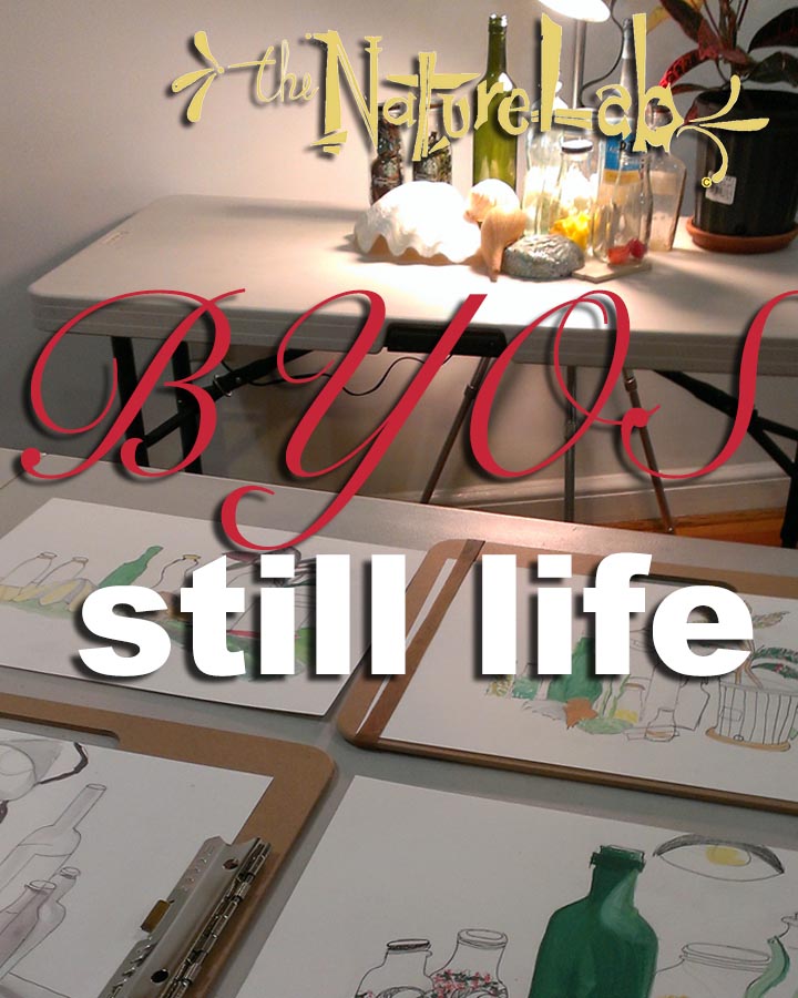 BYOS Still Life Night – the NatureLab