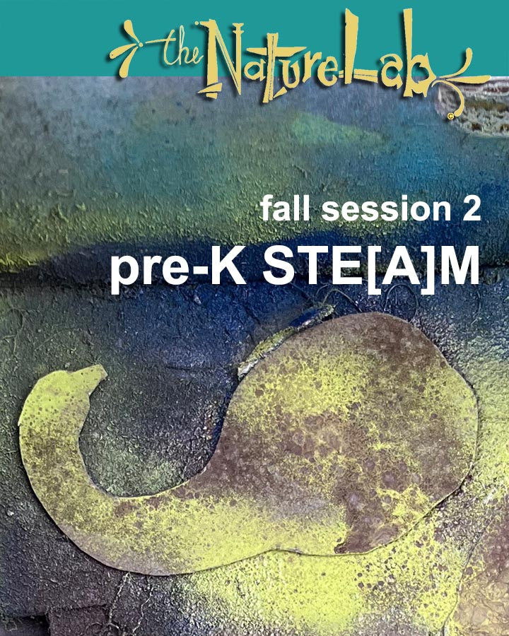 preK _STE[A]M ages three to five Fall Session 2