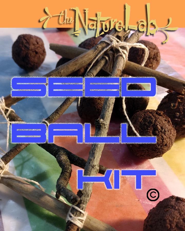 SeedBall Kit